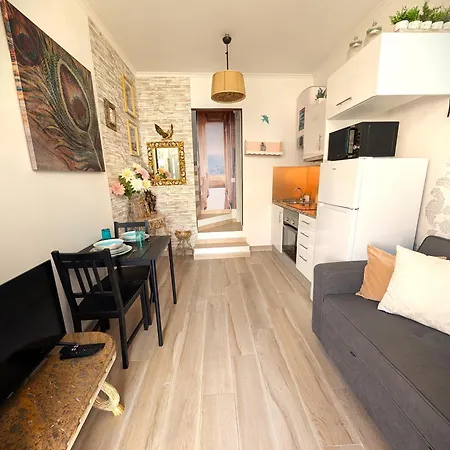 Grand 31 Apartament *